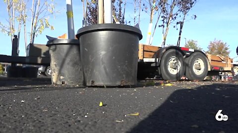 City of Trees challenge kicks off in Boise with a goal of planting 100,000 trees over the next ten years