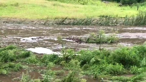 Past flood - Roaring river of flood water 23 Feb 2022