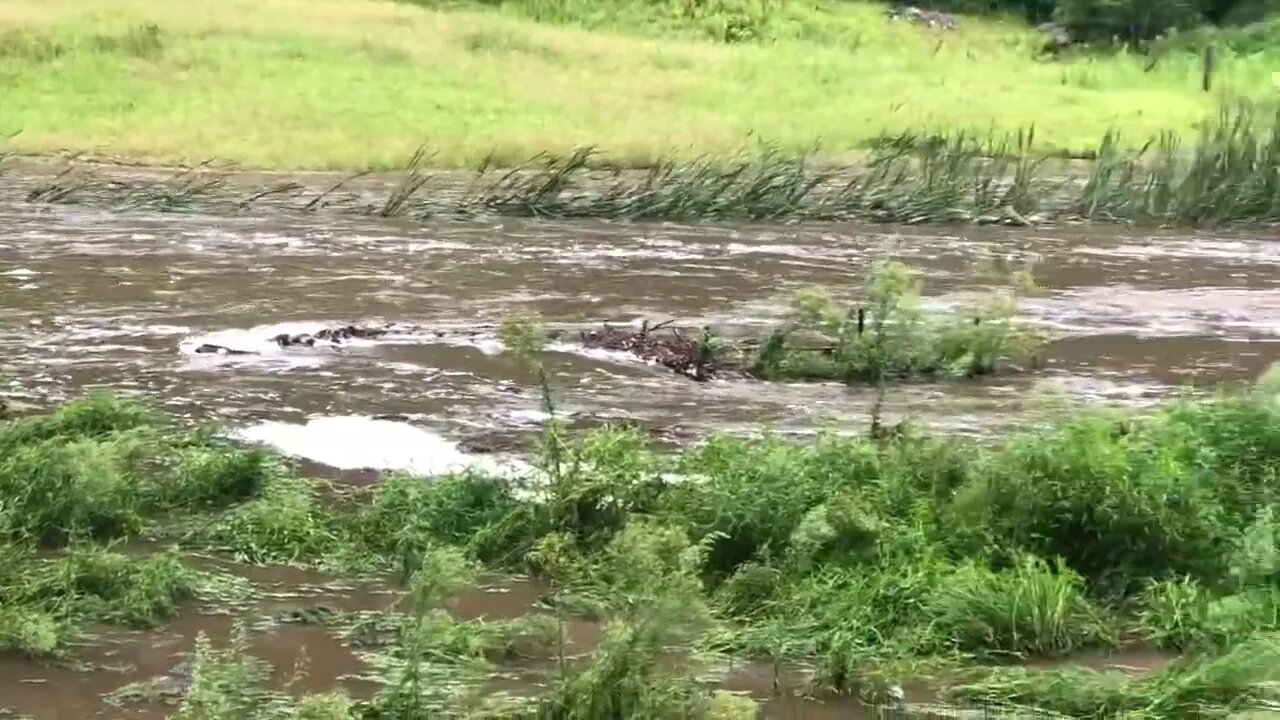 Past flood - Roaring river of flood water 23 Feb 2022