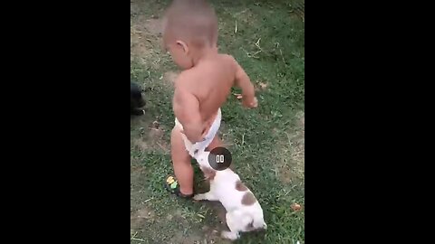 Three puppies undid the pants of a human child