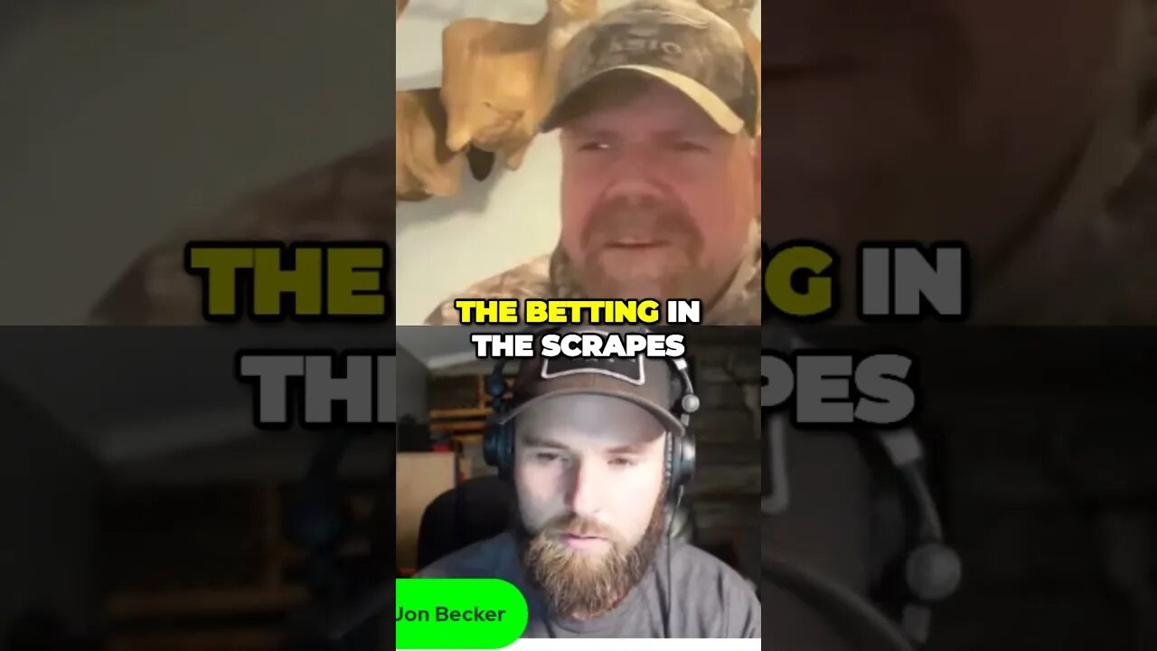 Do does bed near scrapes during the rut?