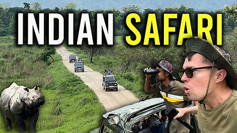 Elephant and Rhino Safari in Kaziranga National Park 🇮🇳