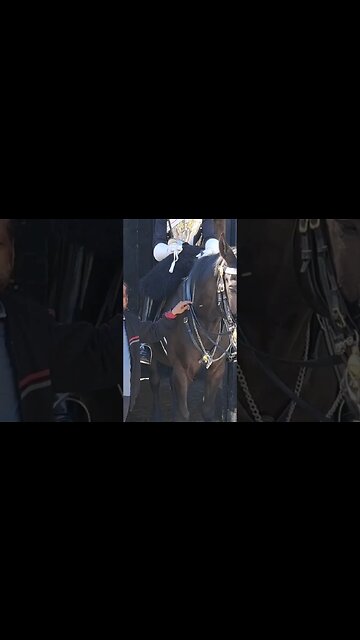 No fear of touching the reins #horseguardsparade