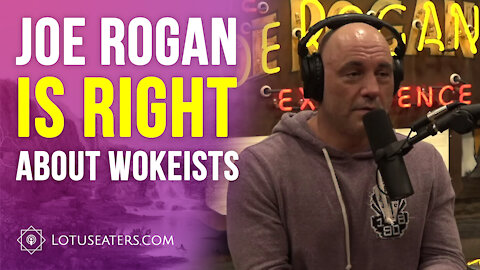 Joe Rogan is Right About Wokeness