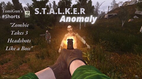 Zombie Takes 3 Headshots Like a Boss (S.T.A.L.K.E.R Anomaly) #Shorts