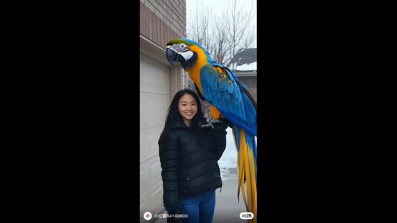 big beautiful parrot