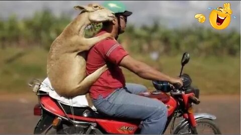 TRY NOT TO LAUGH😂 - PEOPLE'S FUNNIEST MOMENTS: #7
