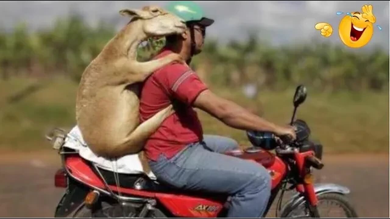 TRY NOT TO LAUGH😂 - PEOPLE'S FUNNIEST MOMENTS: #7