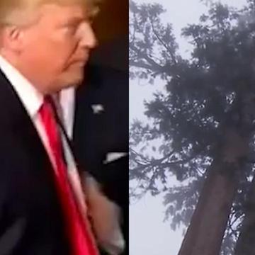 Here Are The Natural Monuments At Risk Under Trump