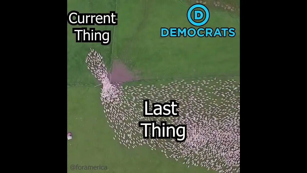 Democrats Flock to the Current Thing