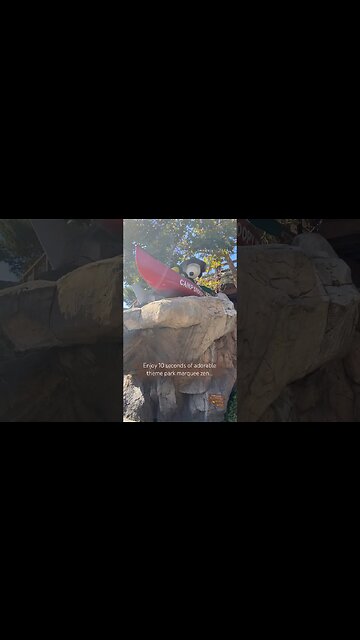 The marquee for Camp Snoopy at Knott’s Berry Farm is adorable! #knottsberryfarm #campsnoopy #snoopy