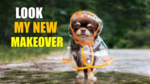 Look My New Makeover