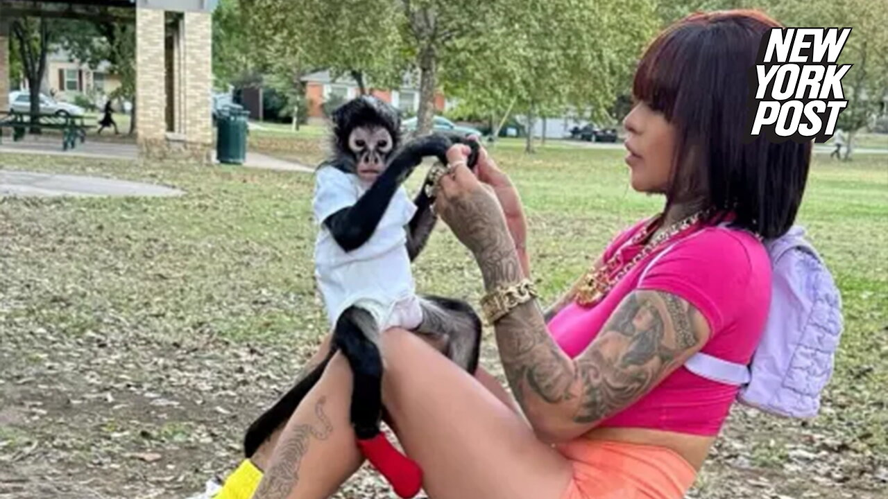 'Free Jorgie Boy': Dallas influencer pleads for return of confiscated pet spider monkey