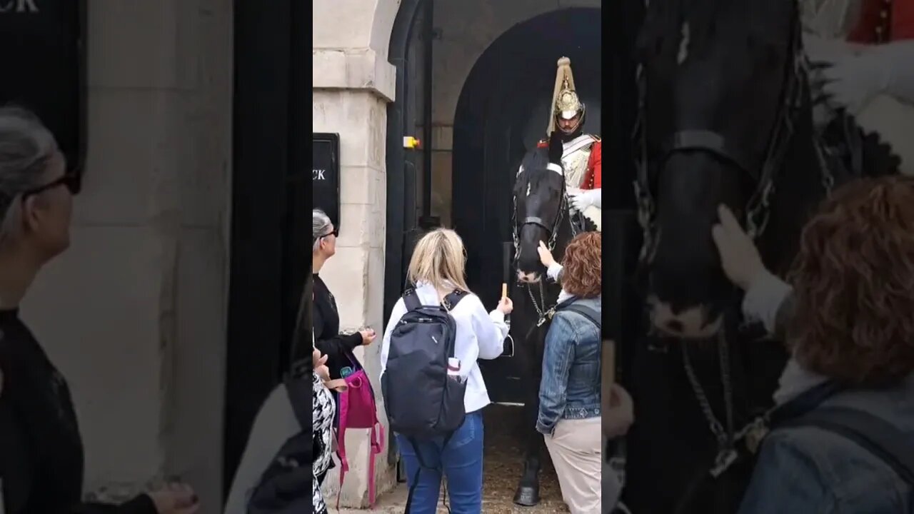 Giving carrots to the kings guard horse #horseguardsparade