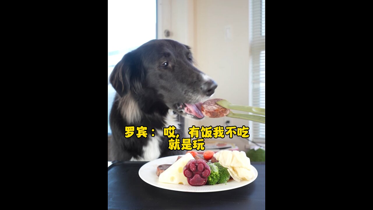 Tiger's daily (7/5/2023)