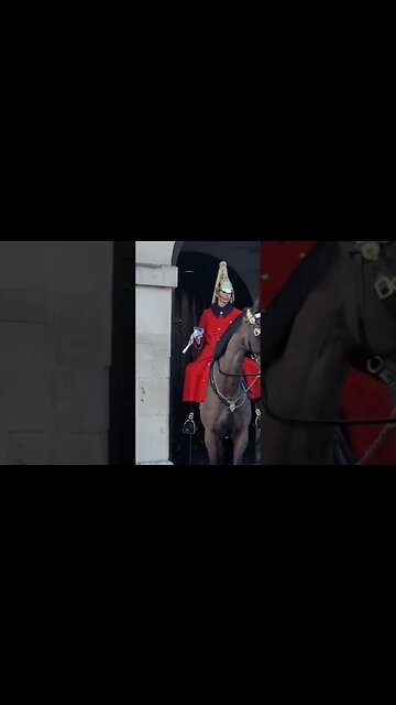 4 slow motion clips from the kings life guards #horseguardsparade