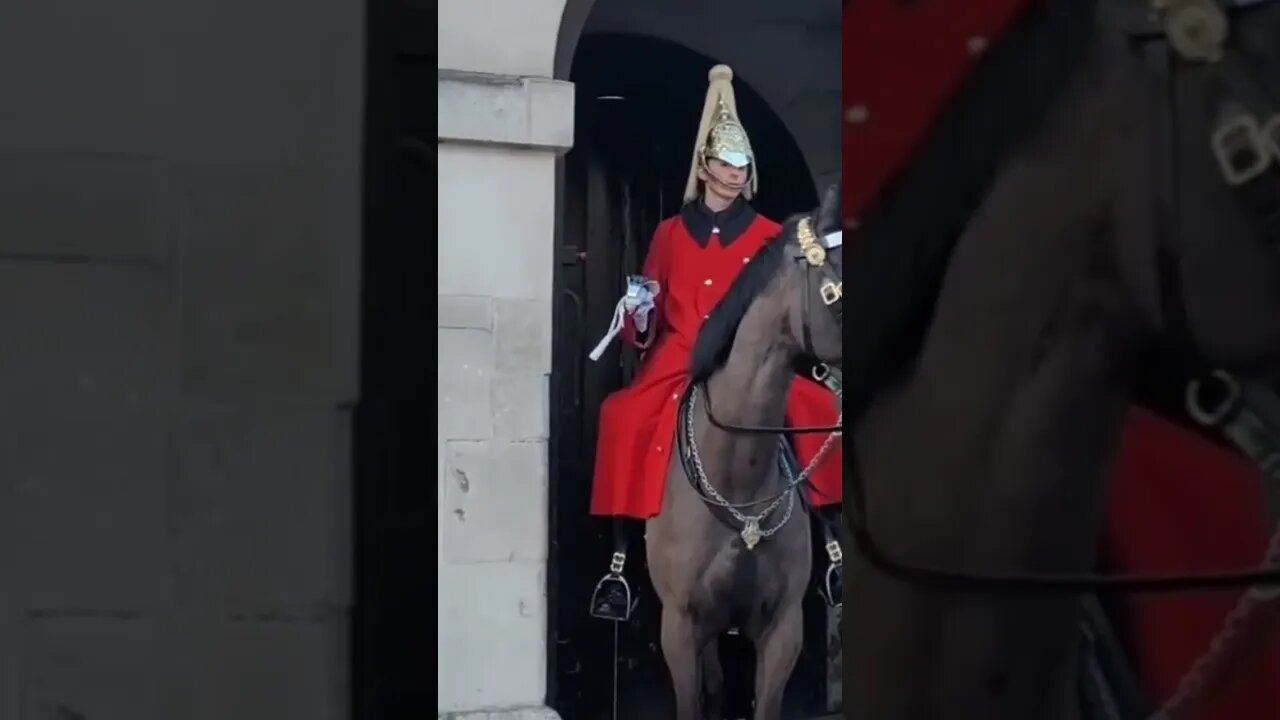 4 slow motion clips from the kings life guards #horseguardsparade
