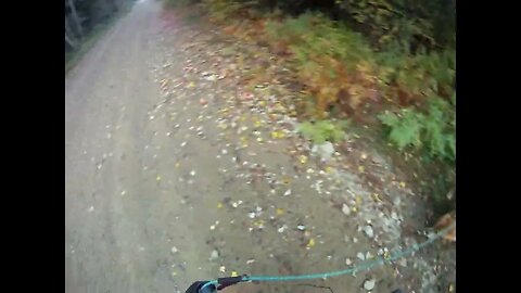 October 6th, 56º Flynn and I walk a different path