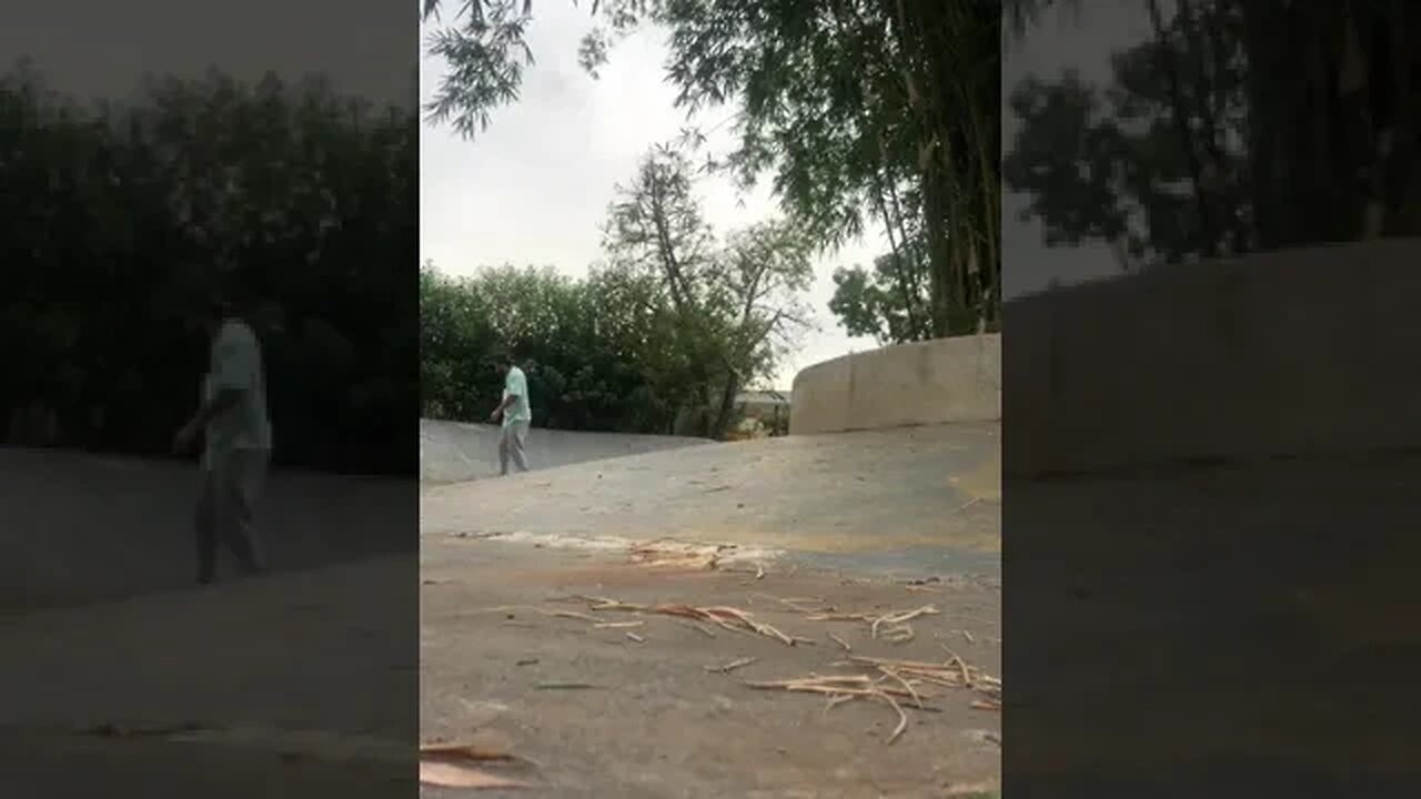 Halfcab Noseslide