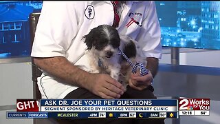 Ask Dr. Joe: Meet Beetlejuice