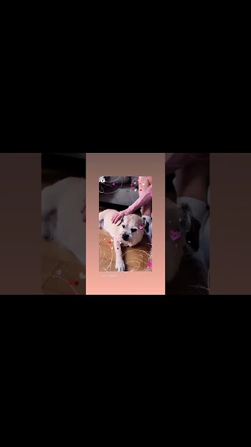 Grand Pop visit Gizmo