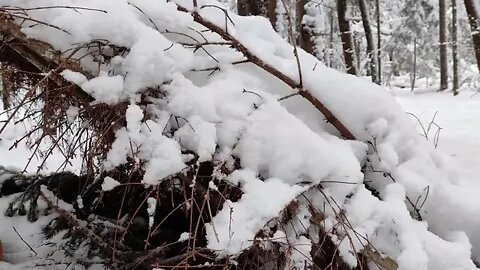 One man's survival in the wild Blizzard outdoor learning these days are good @@@ 5