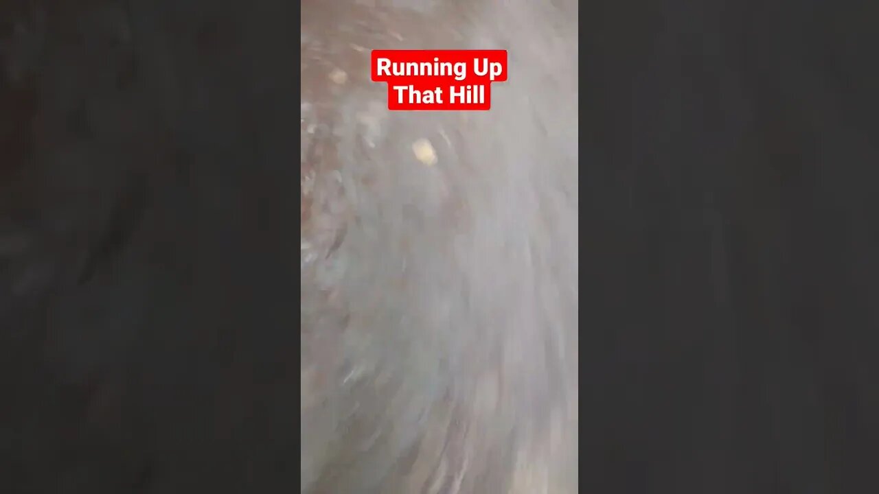 Running Up That Hill #running #hill #shorts