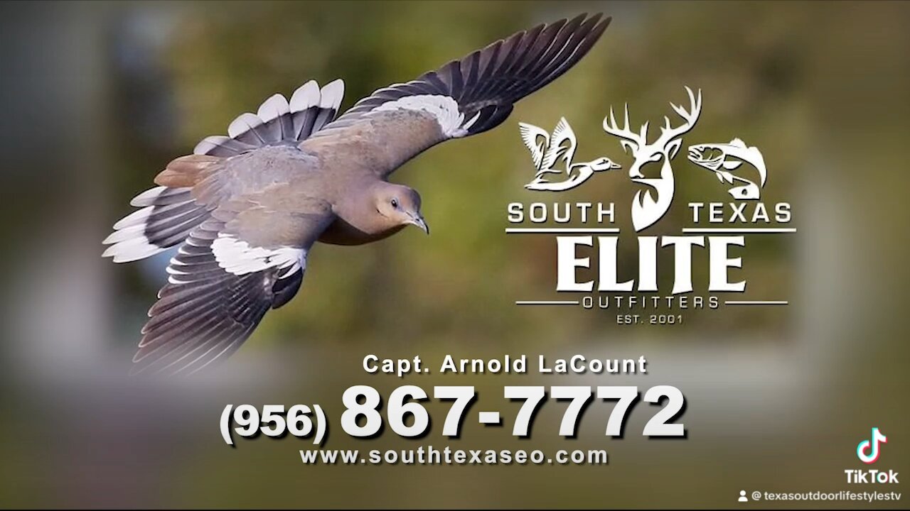 South Texas Elite Outfitters