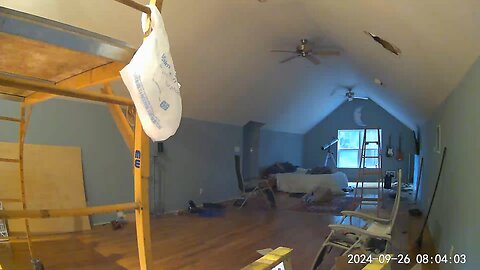 Acrobatic Squirrel Falls Through Ceiling Lands With A Thump.