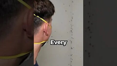When you find the cockroach nest... #shorts