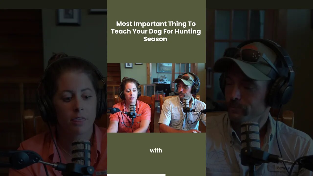 Most Important Thing To Teach Your Dog Before Hunting Season