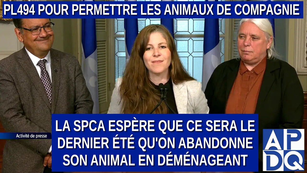 PL494 de QS pour permettre à tous locataires d'avoir un animal de compagnie.