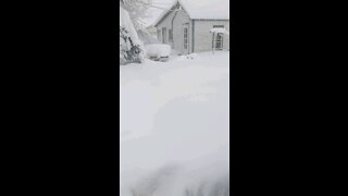 Snow anyone Wy.