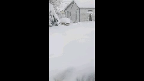 Snow anyone Wy.