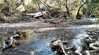 Los Penasquitos Canyon Trail