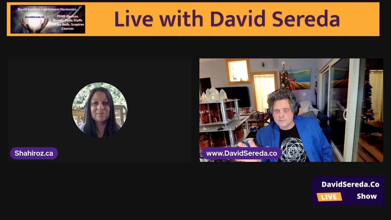 David Sereda Live