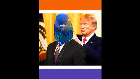 Heroic Bird Craps On Biden