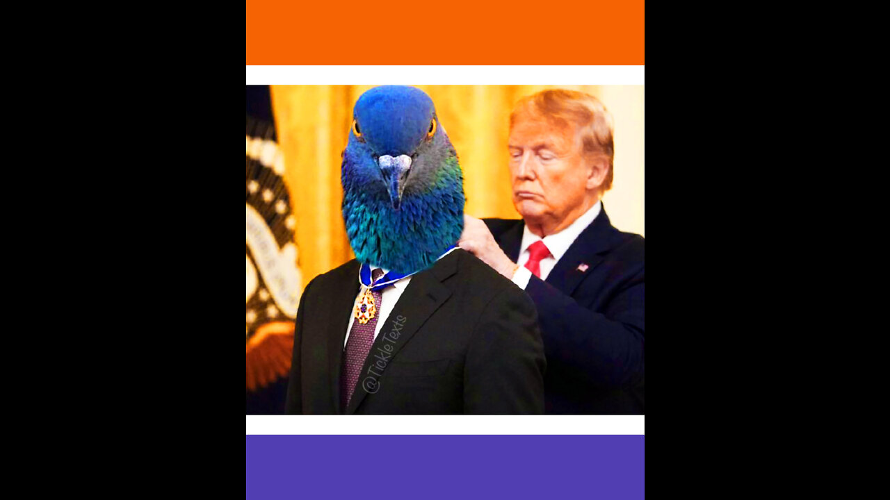 Heroic Bird Craps On Biden