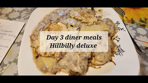 Day 3 diner meals Hillbilly deluxe Sorry if I offended anyone with the name that is the name of it.
