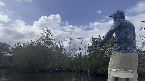 Frankie’s first Tarpon on fly