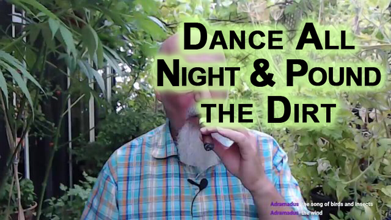 The Wind, Songs of Birds & Insects: Go Dance All Night & Pound the Dirt (Mental Health Advice)