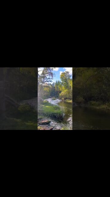 Water under a Bridge
