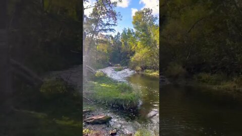 Water under a Bridge