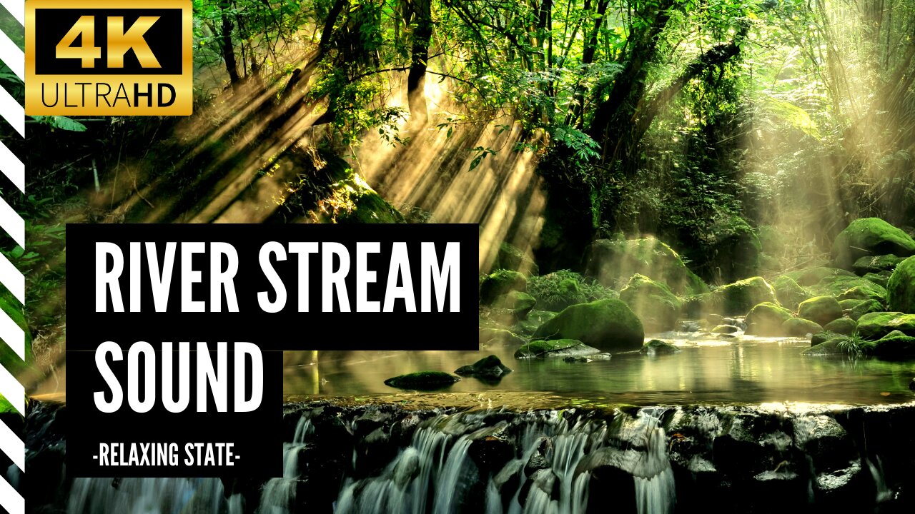 4K Forest Stream Relaxing River Sounds White Noise