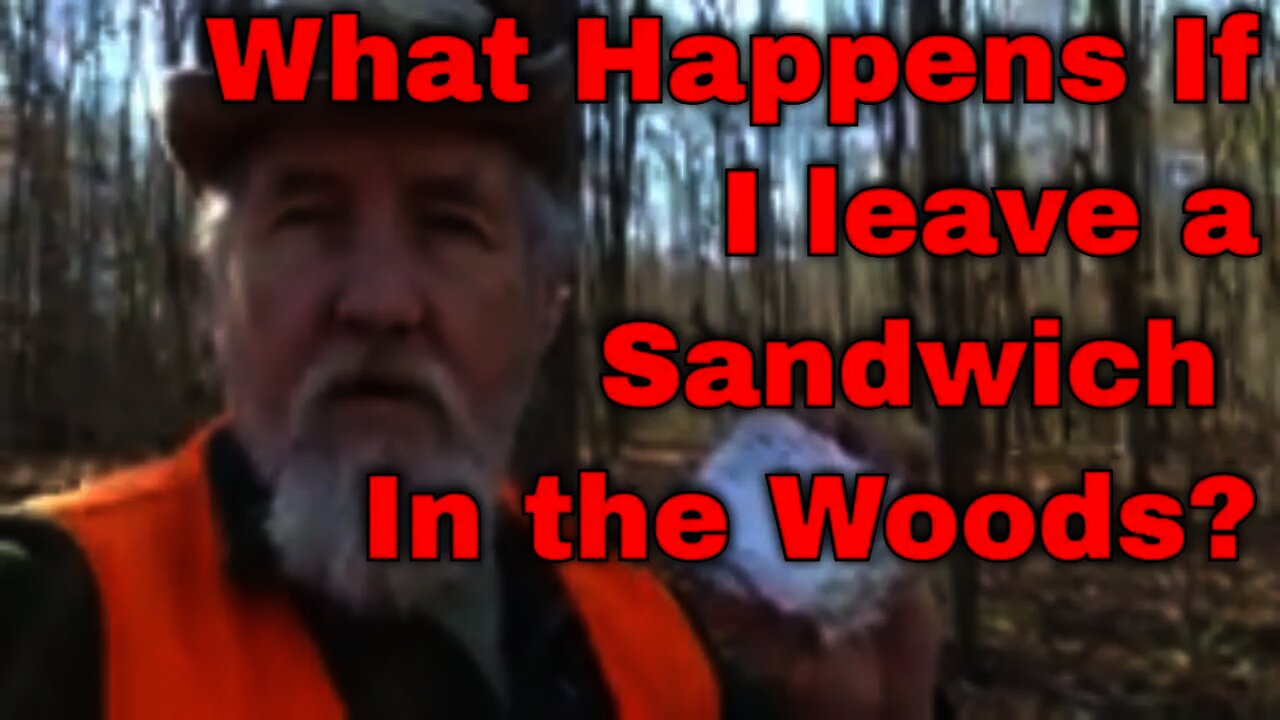 What Happens When You Leave A Sheetz Morning Sandwich In The Woods? #GOOutdoors