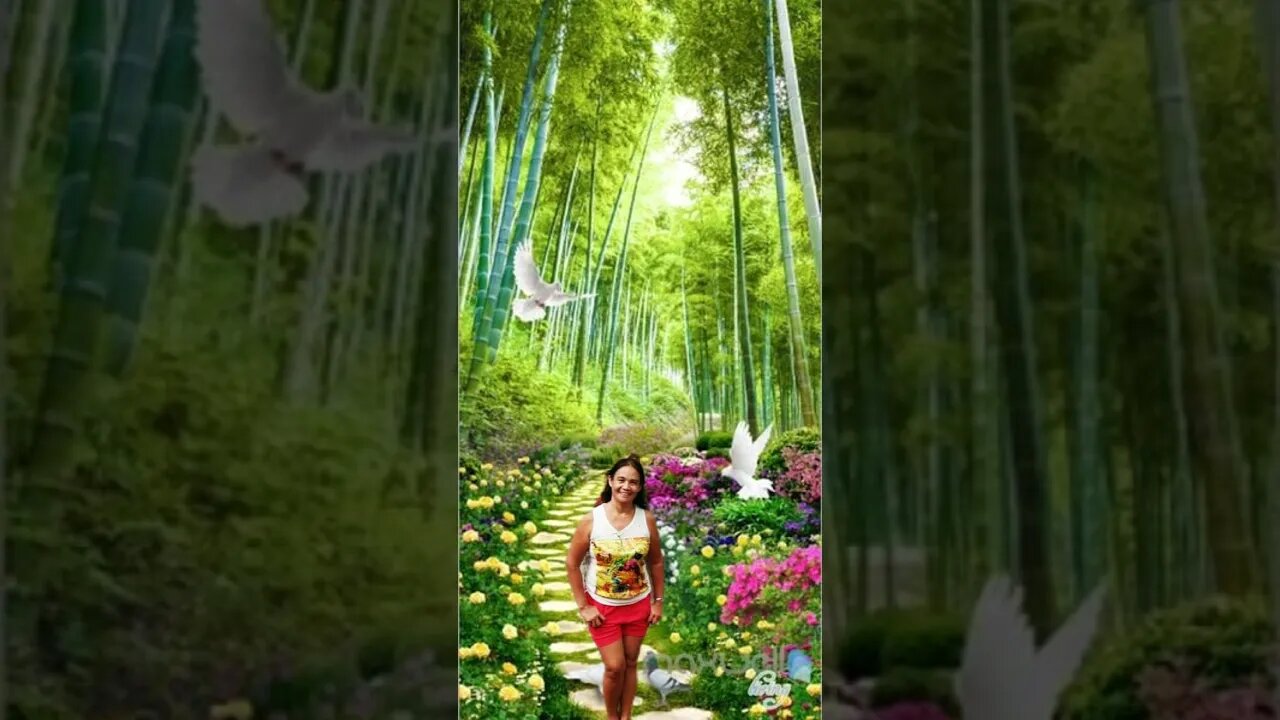 THE BEAUTY OF THE FOREST