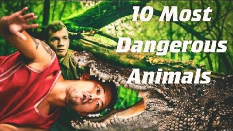 10 Most Dangerous Animals In The World | What If They Bite Or Attack you?