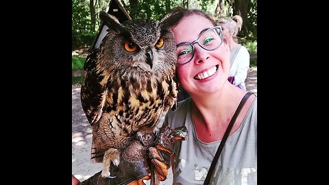 VISUAL IMPRESSION Birds of Prey FLIGHT show Wildgehegene Gangelt Deutschland Germany natural habitat
