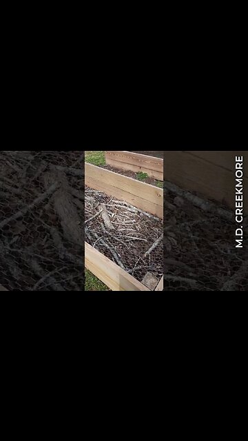 Raised Vegetable Garden Bed Hack