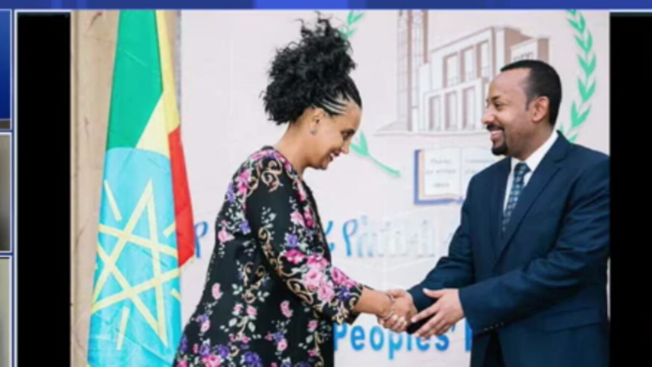 ብርቱካን ሚደቅሳ የኦህዴድ ቅልብተኛ ለመሆን ሀገር ቤት እንደገባች አረጋግጫለሁ - ሀብታሙ አያሌው